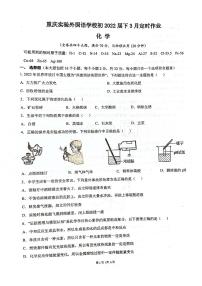 重庆实验外国语学校初2022届初三下三月定时作业化学试题无答案