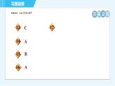 科学版九年级上册化学 第1章 1.3 物质的变化 习题课件