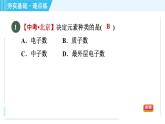 沪教版九年级上册化学 第3章 3.2.1 元素 习题课件