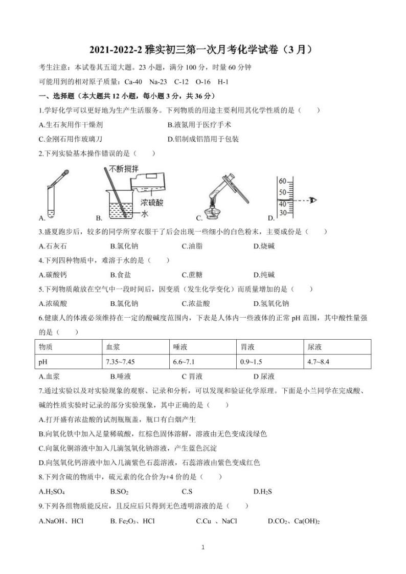 湖南省雅礼实验中学2021-2022学年九年级下学期第一次月考化学试题01