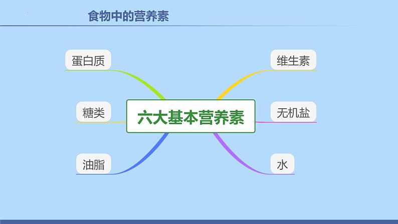 课题1  人类重要的营养物质-课件（共26张PPT）第4页