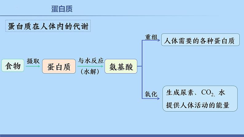 课题1  人类重要的营养物质-课件（共26张PPT）第8页