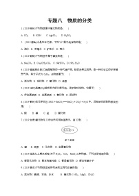 2022版中考化学大一轮培优训练及课件专题八 物质的分类