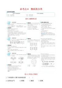 2022版初中化学考前第一篇 必考点8物质的分类配套word练习题