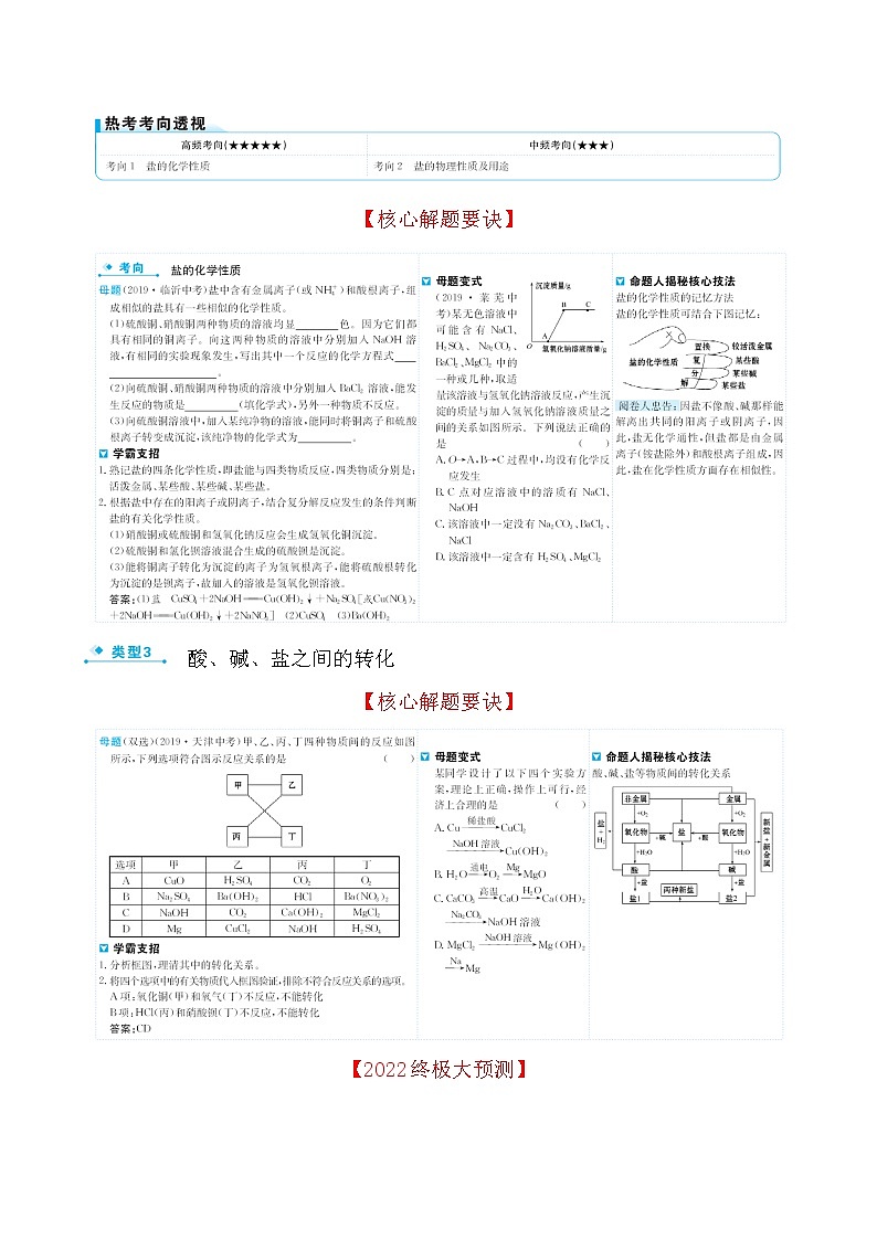 2022版初中化学考前第一篇 必考点6酸、碱、盐的性质配套word练习题第2页