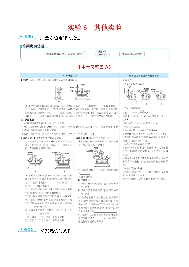 2022版初中化学考前第二篇 实验6质量守恒定律的验证配套word练习题01