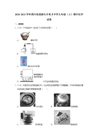 2020-2021学年四川省成都七中育才中学九年级（上）期中化学试卷(含答案详细解析）