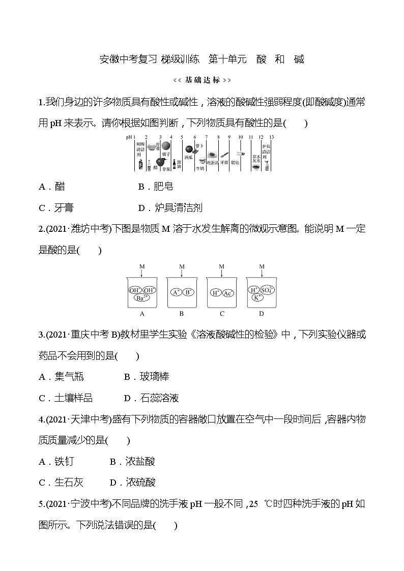 安徽中考复习 梯级训练  第十单元　酸　和　碱(学生版)第1页