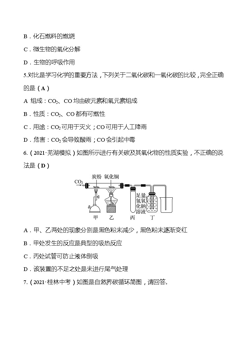 备战2022 人教版化学中考复习  梯级训练  第六单元　碳和碳的氧化物（安徽版）02