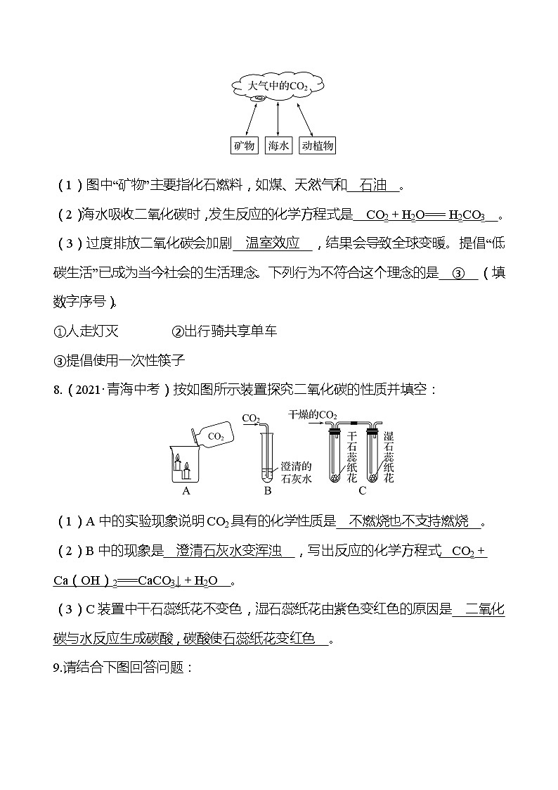 备战2022 人教版化学中考复习  梯级训练  第六单元　碳和碳的氧化物（安徽版）03