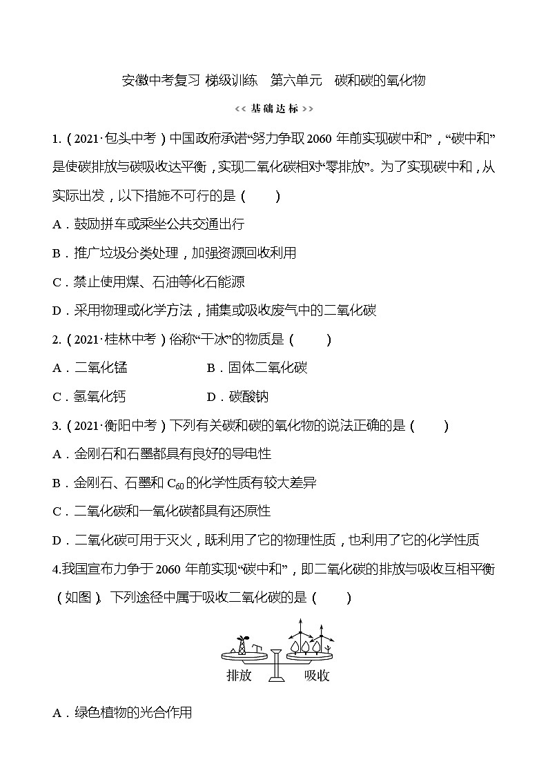 备战2022 人教版化学中考复习  梯级训练  第六单元　碳和碳的氧化物（安徽版）01