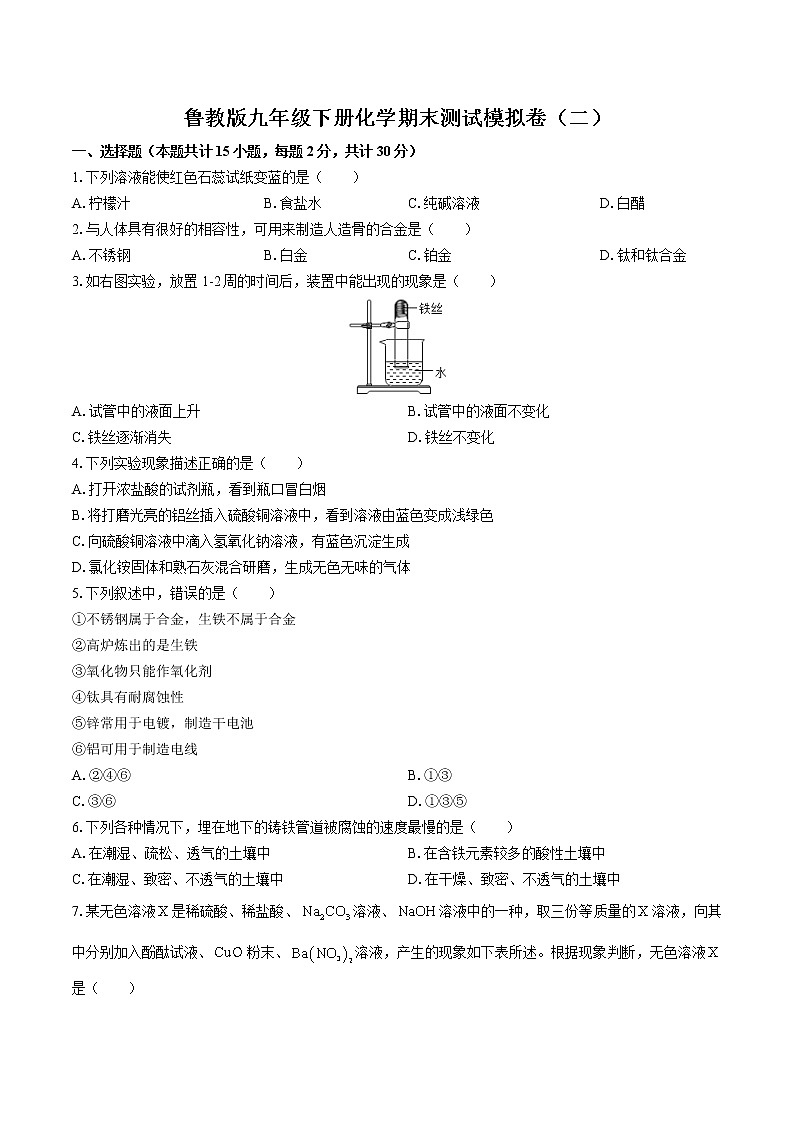 鲁教版九年级下册化学期末测试模拟卷（二）01