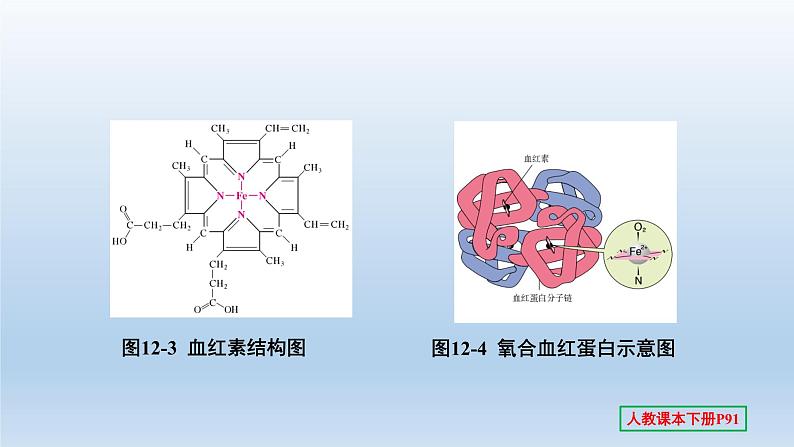 2022中考一轮单元复习  12.第十二单元 化学与生活课件PPT04