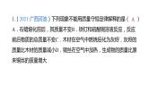 专题03 质量守恒定律的应用（复习课件+练习）-2022年中考化学二轮复习讲练测