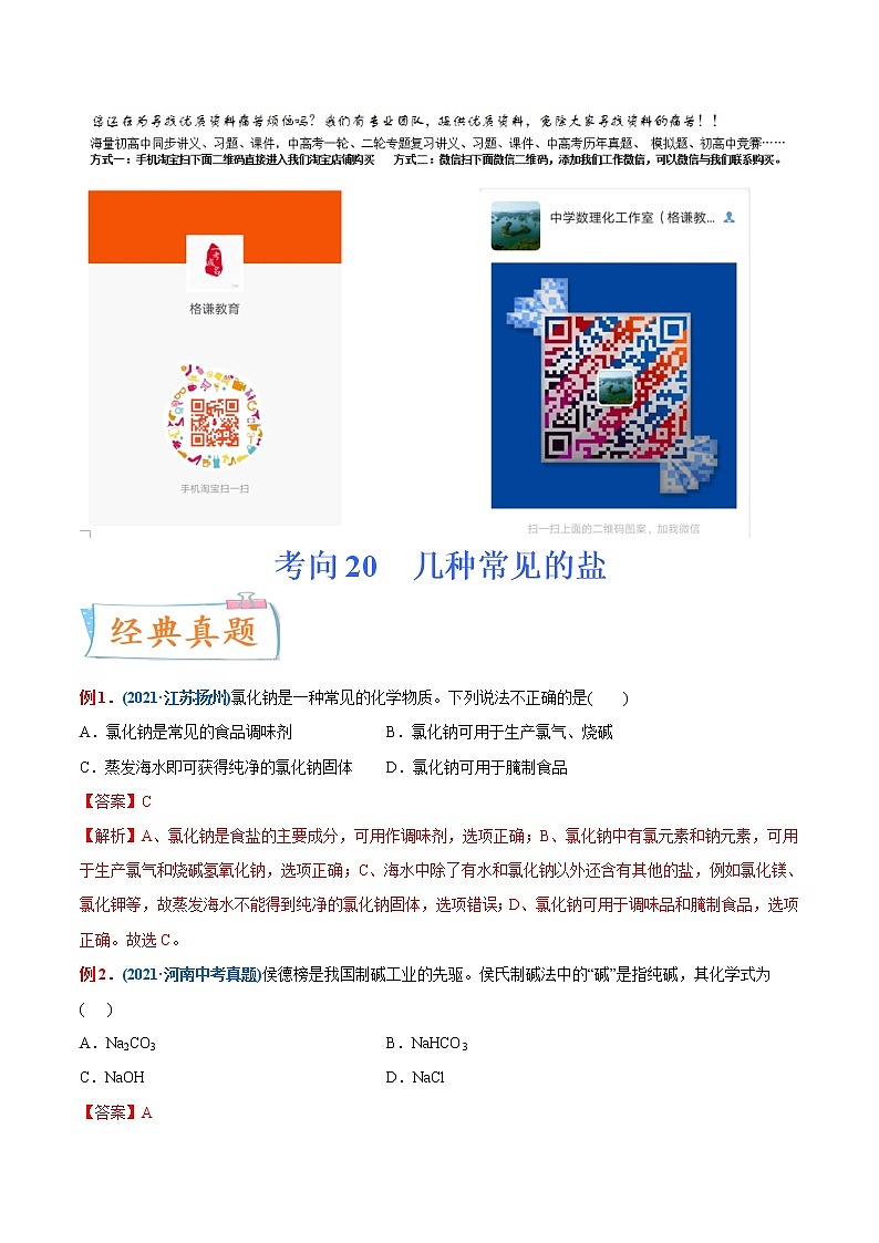 专题20  几种常见的盐（重点、难点）-备战2022年中考化学一轮复习考点微专题 （教师版含解析）第1页