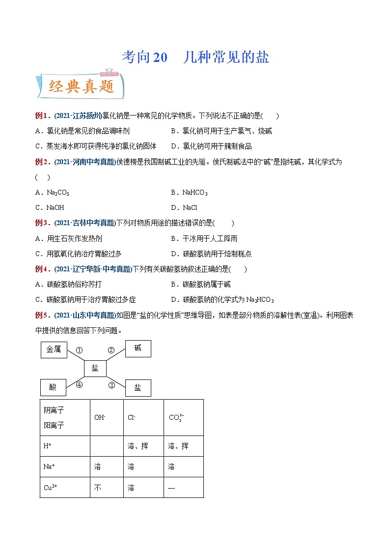 专题20  几种常见的盐（重点、难点）-备战2022年中考化学一轮复习考点微专题 （学生版）第1页