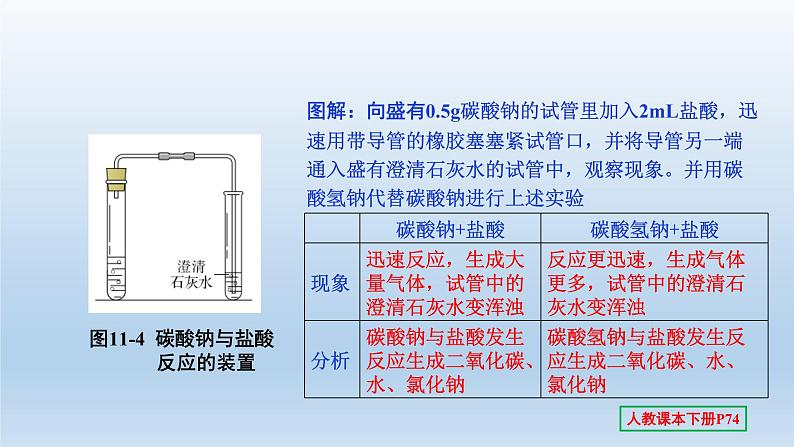 2022中考一轮单元复习  11.第十一单元 盐 化肥课件PPT第3页