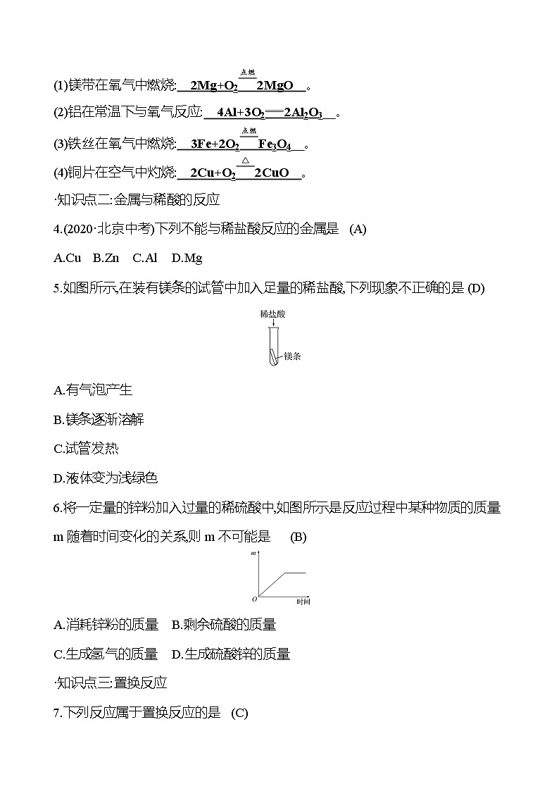 8.2.1 金属的化学性质（课件+教案+学案+练习）02