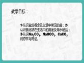 11.1.1 生活中常见的盐（课件+教案+学案+练习）