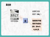 11.1.1 生活中常见的盐（课件+教案+学案+练习）