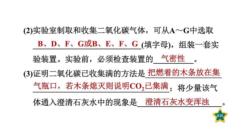 人教版九年级上册化学 第6单元 6.2二氧化碳制取的研究 习题课件第6页