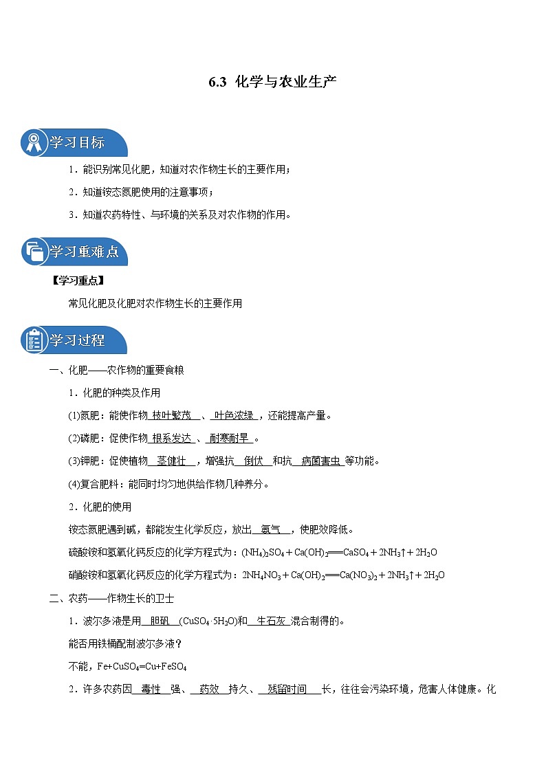 6.3 化学与农业生产 同步学案 初中化学鲁教版（五四学制）九年级全一册（2022年）第1页