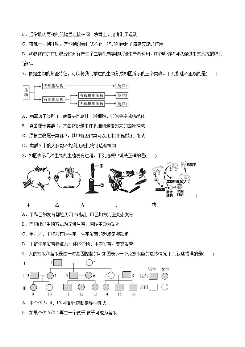 （湖北卷）2022年中考生物第一次模拟考试（A4考试版）第3页
