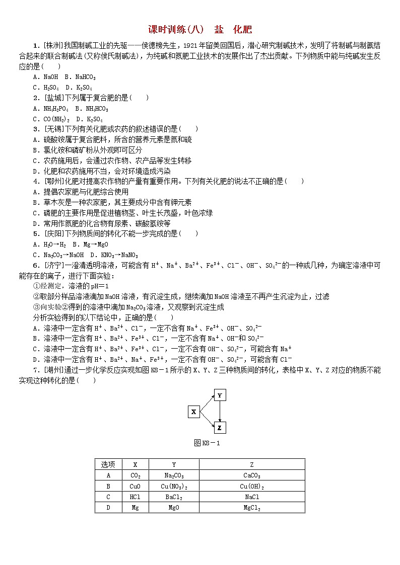 (通用版)中考化学一轮复习方案课时训练08《盐化肥》(含答案)第1页