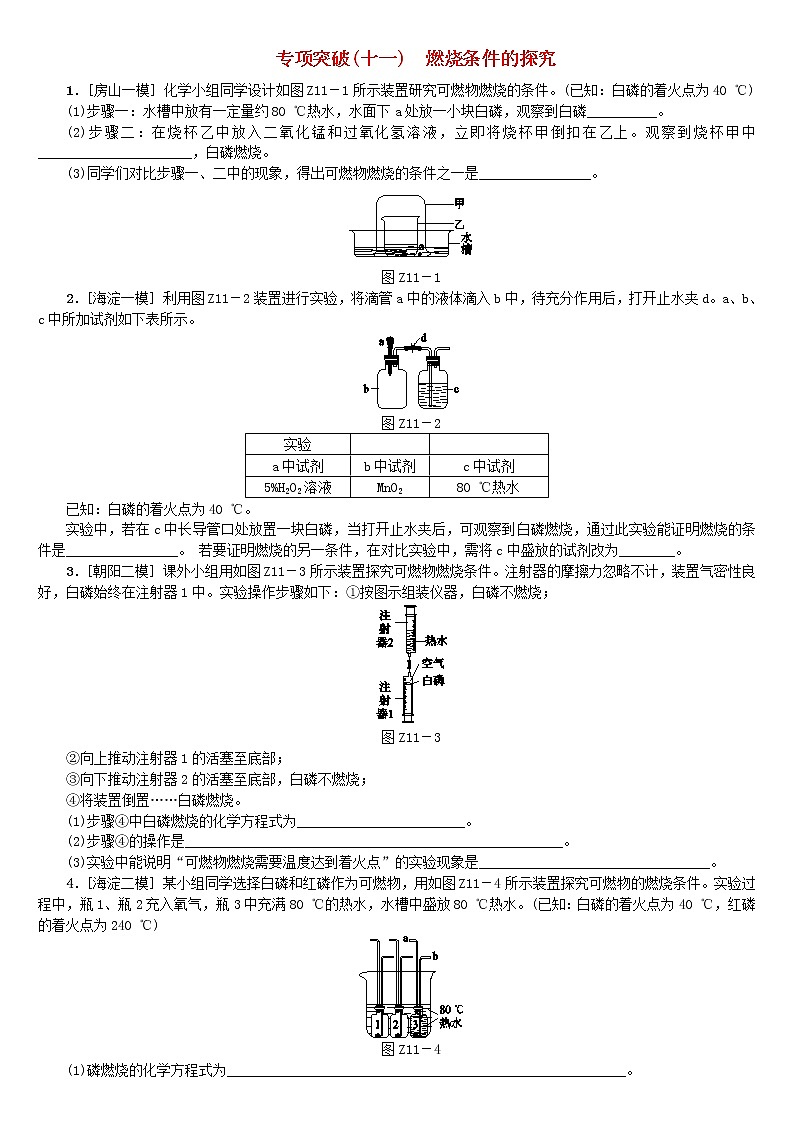 中考化学二轮复习专项突破11《燃烧条件的探究》练习题（含答案）第1页