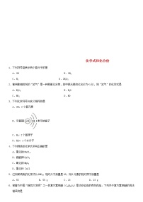 中考化学二轮专题复习卷《化学式和化合价》练习卷（含答案）