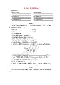 (通用版)中考化学一轮复习课时13《常见的酸和pH》优化训练题（含答案）