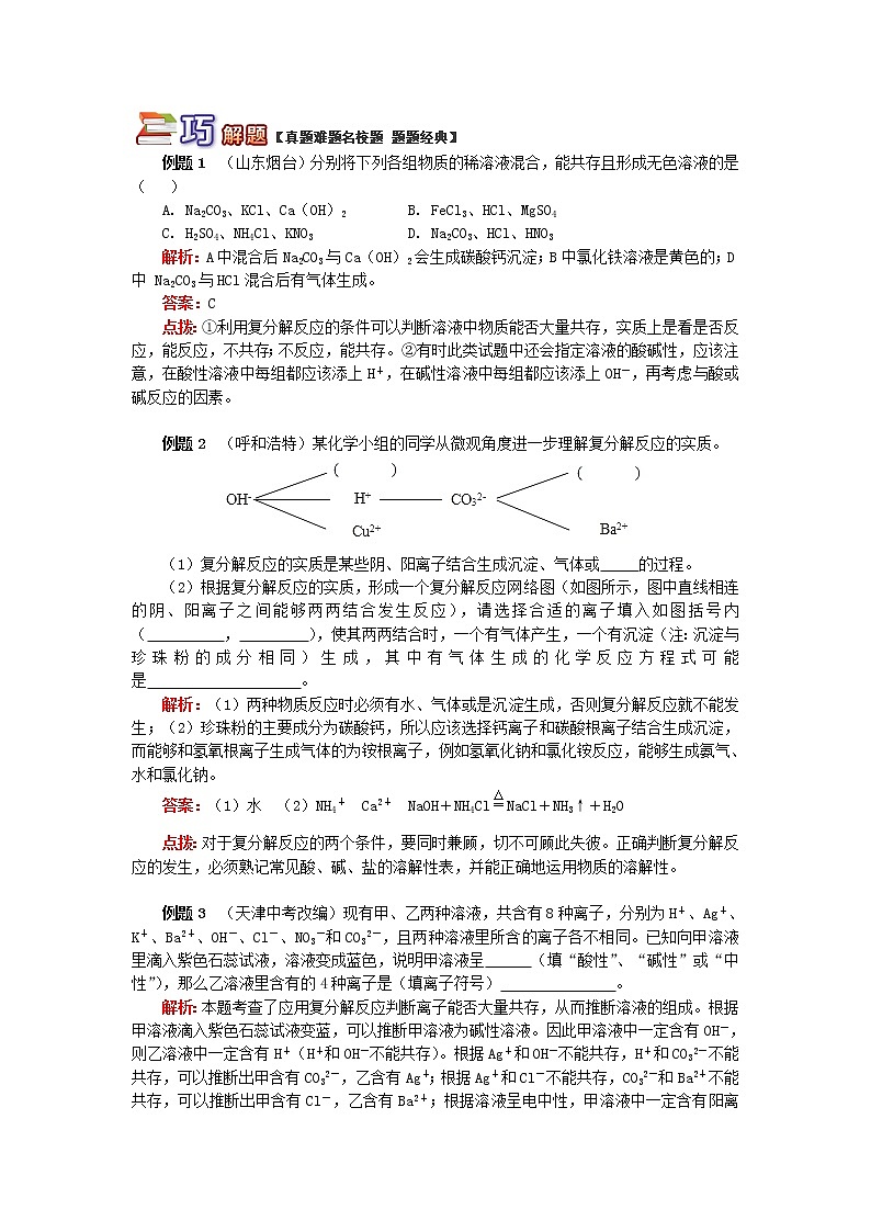 (通用版)中考化学二轮重难点易错点复习讲与练《巧学盐的性质》(含详解)第2页