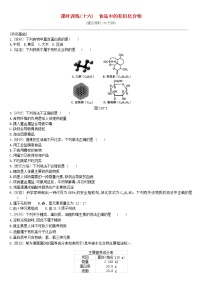 (通用版)中考化学一轮复习课时训练16《食品中的有机化合物》(含答案)