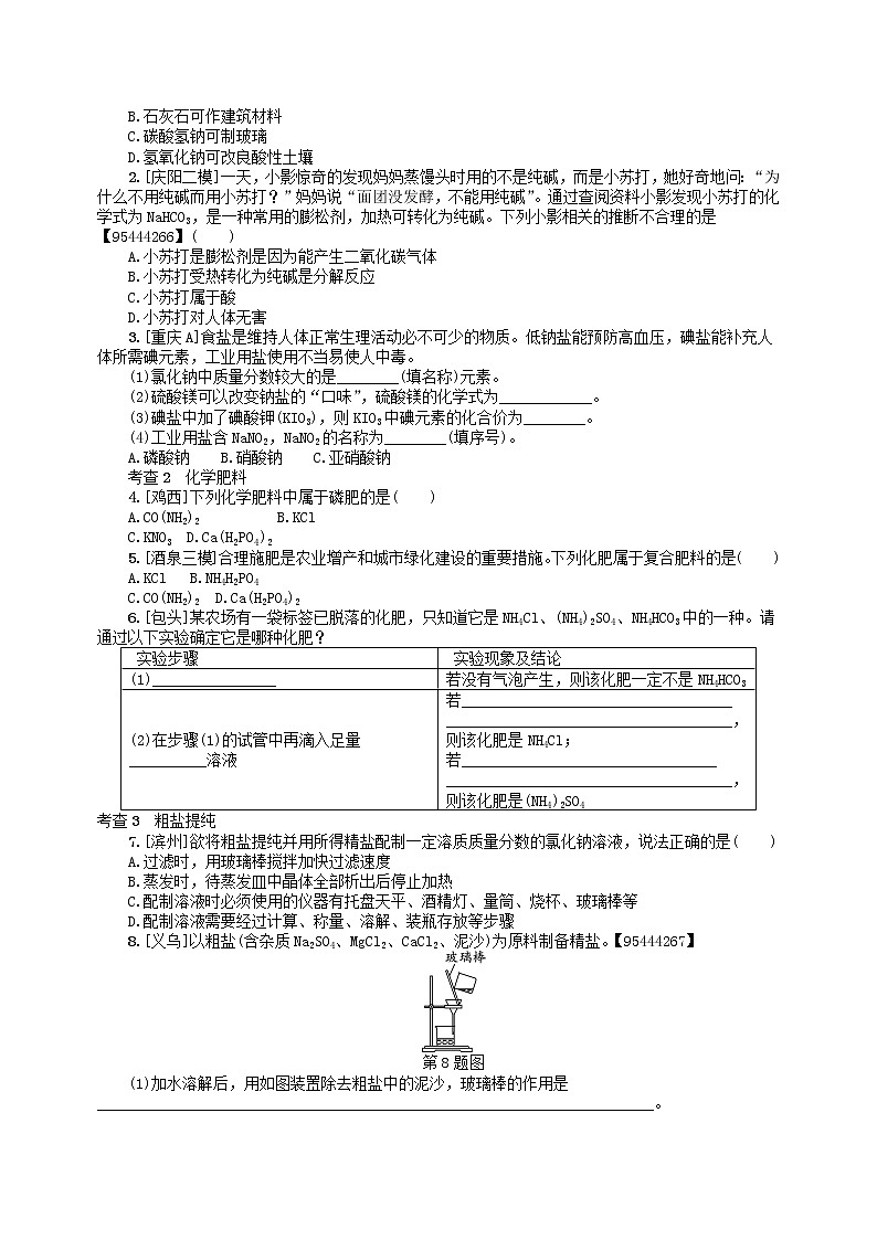 中考化学一轮复习考点精选练第8讲《盐 化肥》（含答案）第2页