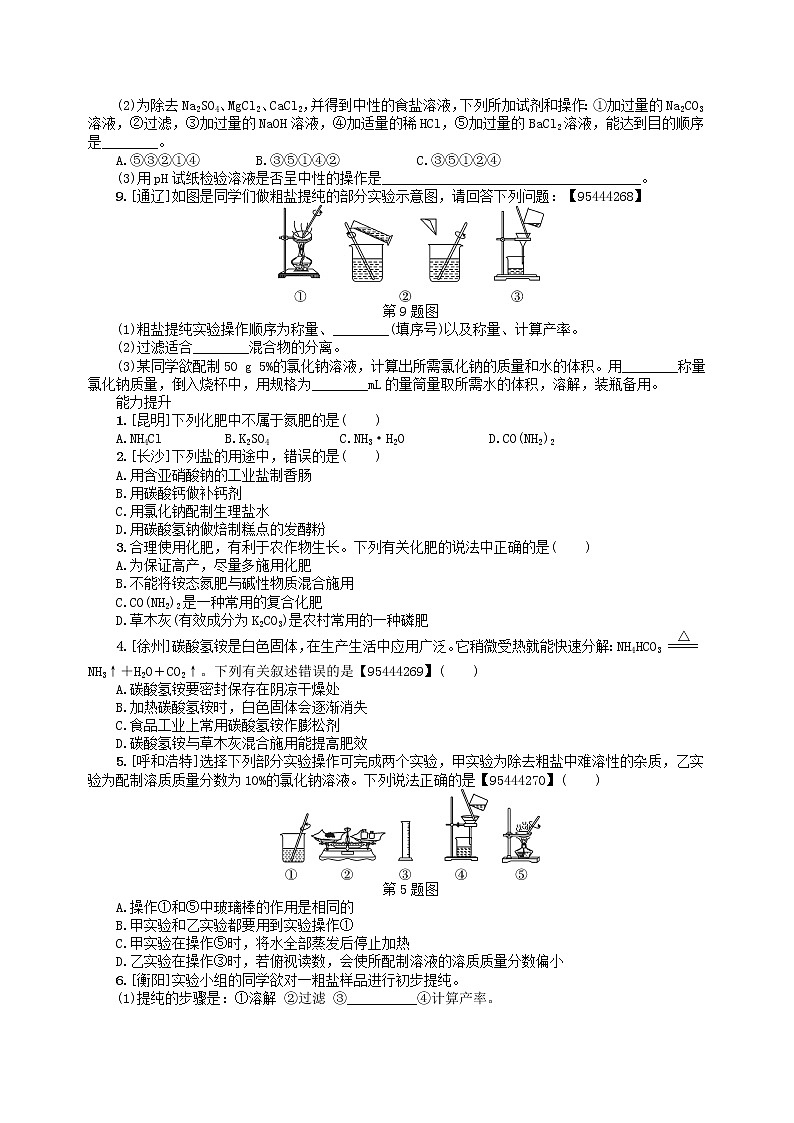 中考化学一轮复习考点精选练第8讲《盐 化肥》（含答案）第3页