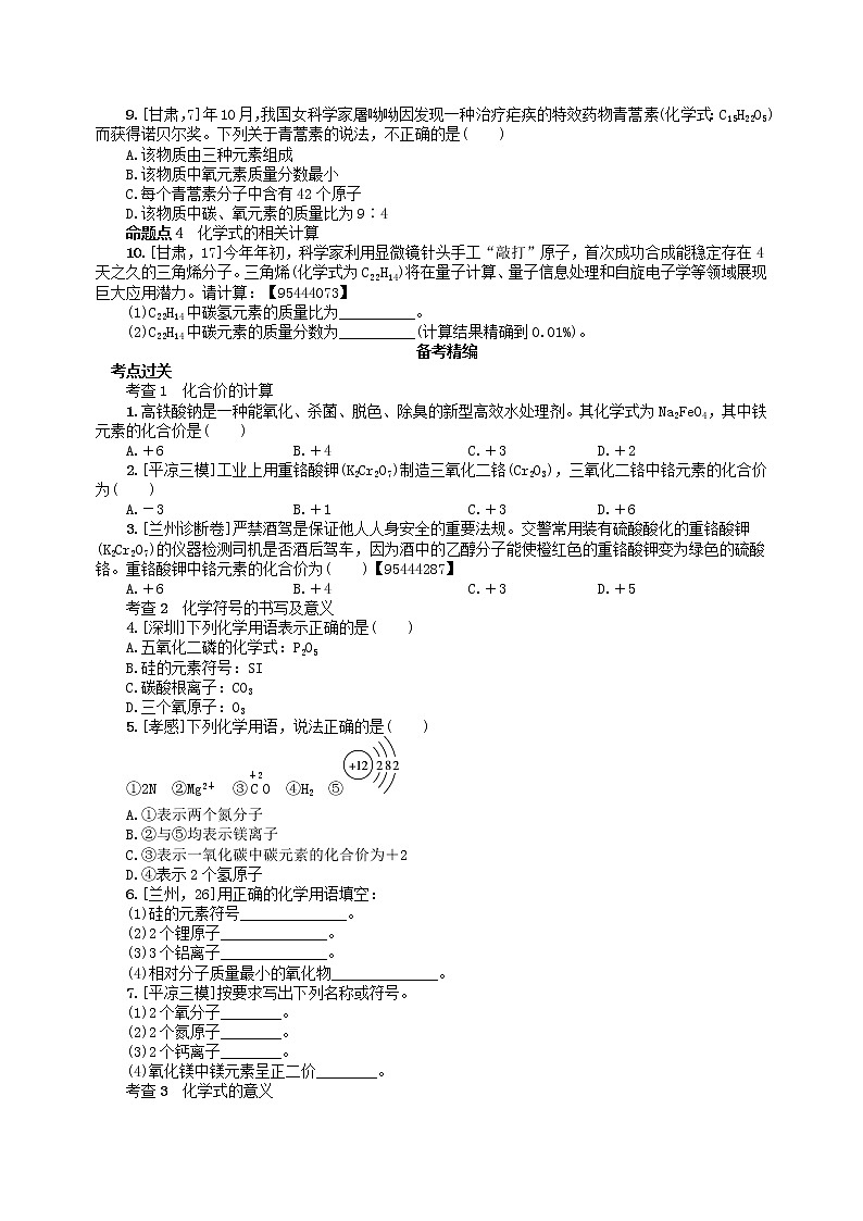 中考化学一轮复习考点精选练第11讲《物质组成的表示》（含答案）第2页