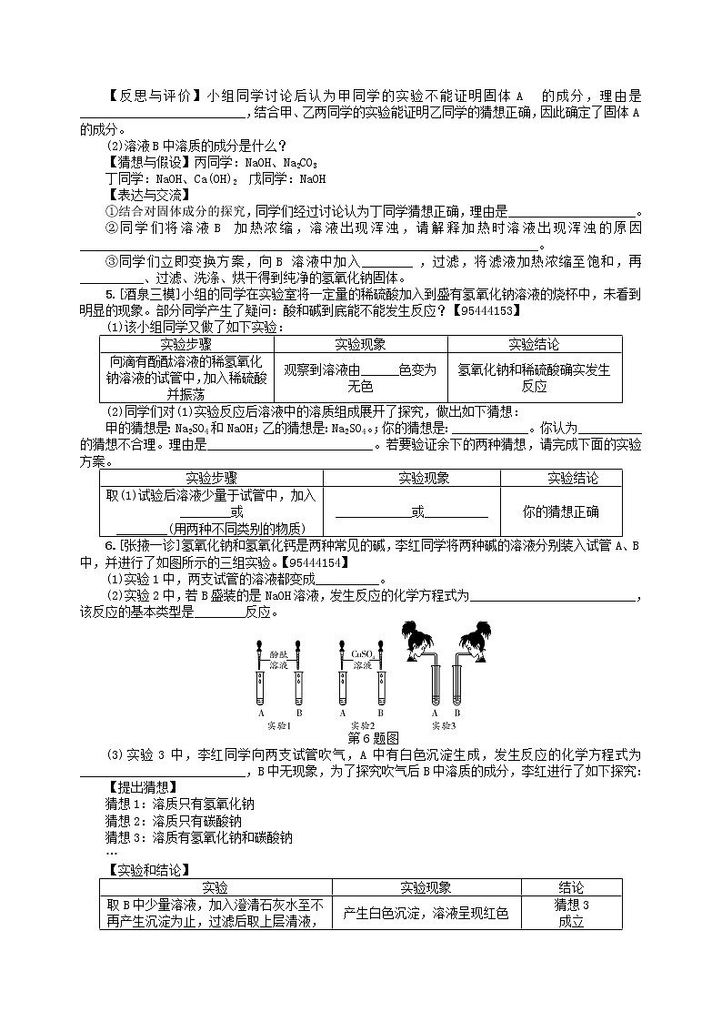 中考化学一轮复习考点精选练专题六《探究型实验》（含答案）03