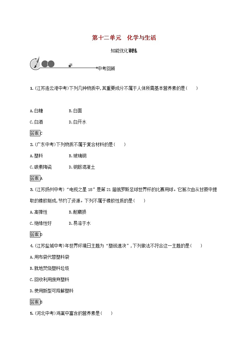 中考化学一轮复习基础知识过关12化学与生活知能优化训练 (含答案)01