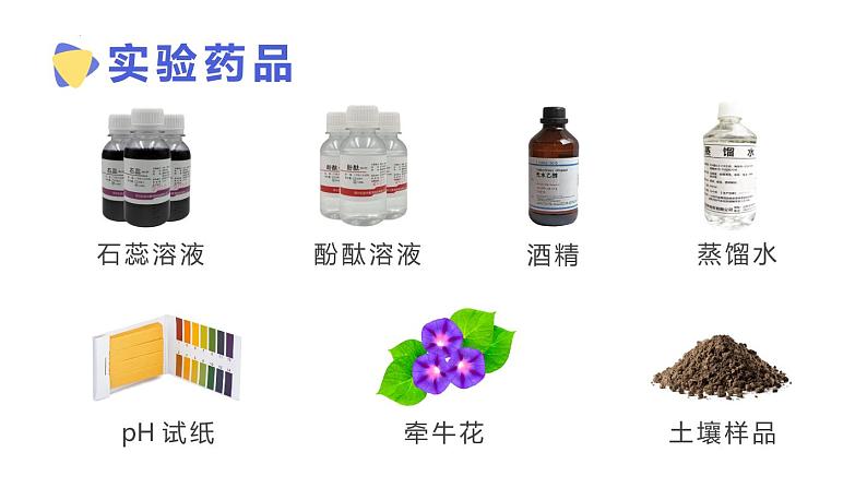 实验活动七溶液的酸碱性检验课件-2021-2022学年九年级化学人教版下册05