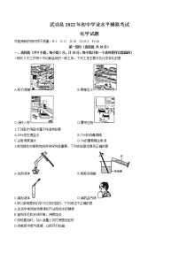 2022年陕西省咸阳市武功县中考一模化学试题(word版含答案)