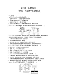 2022年中考化学一轮复习专题训练-++第六讲　燃烧与燃料（第2课时）