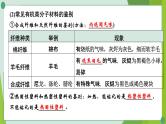 2022年中考化学第一轮系统复习第十二讲化学与社会发展课件PPT
