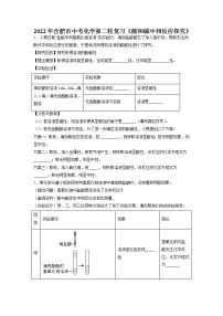 2022年安徽省合肥市中考化学第二轮复习---酸和碱中和反应探究