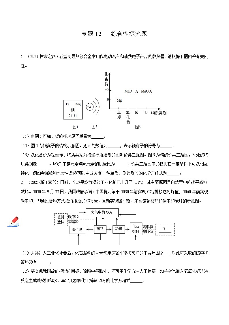 专题12 综合性探究题（原卷版）第1页