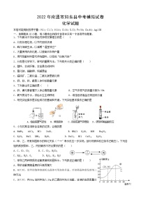 2022年江苏省南通市如东县中考化学模拟试卷(word版无答案)