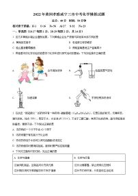 精品解析：2022年湖北省黄冈孝感咸宁三市中考一模化学试题（原卷版）