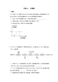 （2019-2021）江苏中考化学真题分项汇编专题11  计算题