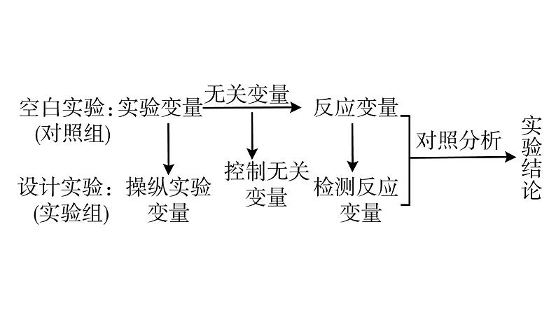 2022届中考化学二轮题型突破课件--实验探究题第6页