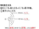 2022年中考化学二轮专题突破课件构成物质的微粒物质的多样性
