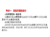 2022年中考化学二轮专题突破课件实验方案的设计与评价